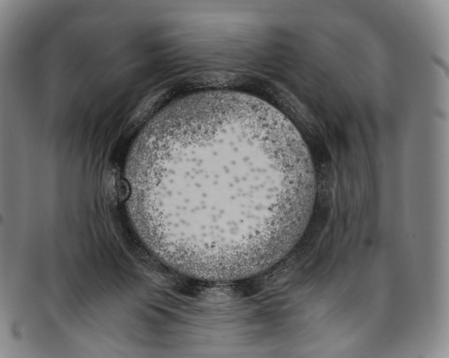 X0000096960119200802291130