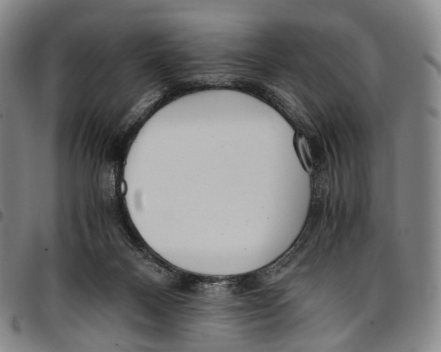 X0000096960120200802291130