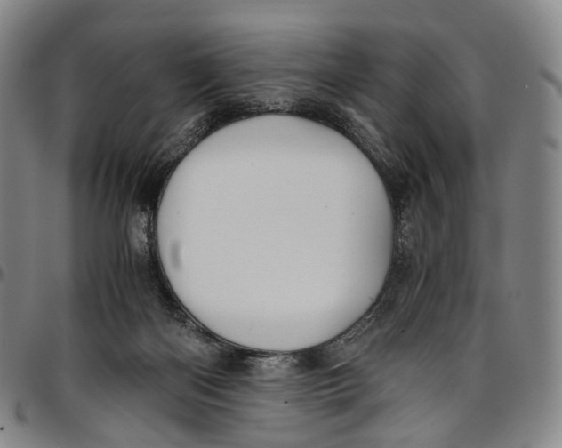 X0000096960122200802291130