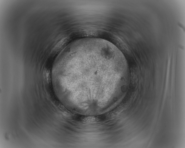 X0000096960123200802291130