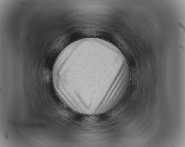 X0000096960125200802291130