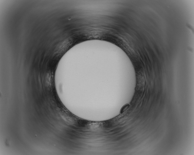 X0000096960126200802291130