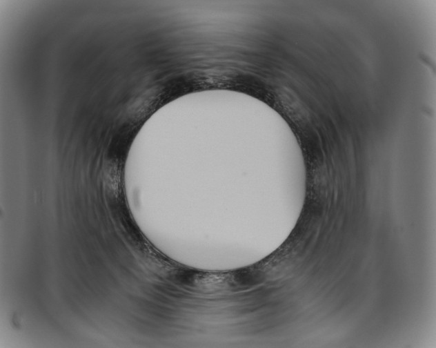 X0000096960129200802291130