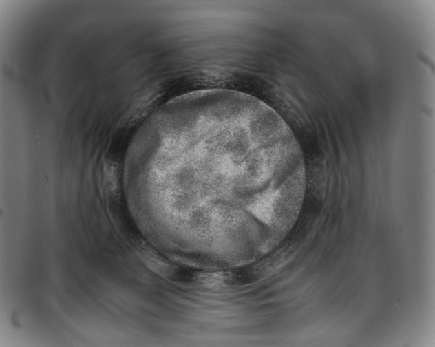 X0000096960131200802291130