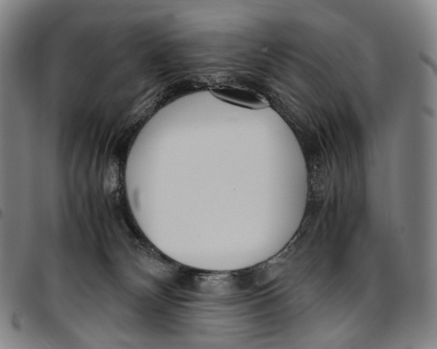 X0000096960132200802291130