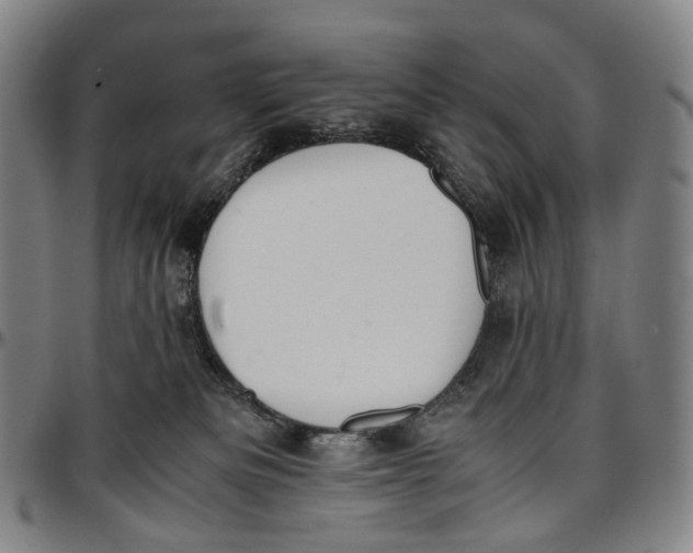 X0000096960133200802291130