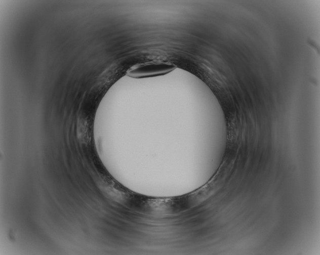 X0000096960136200802291130