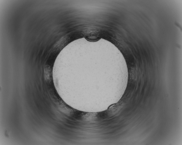 X0000096960138200802291130