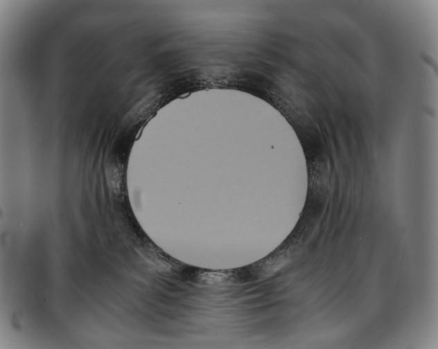 X0000096960139200802291130