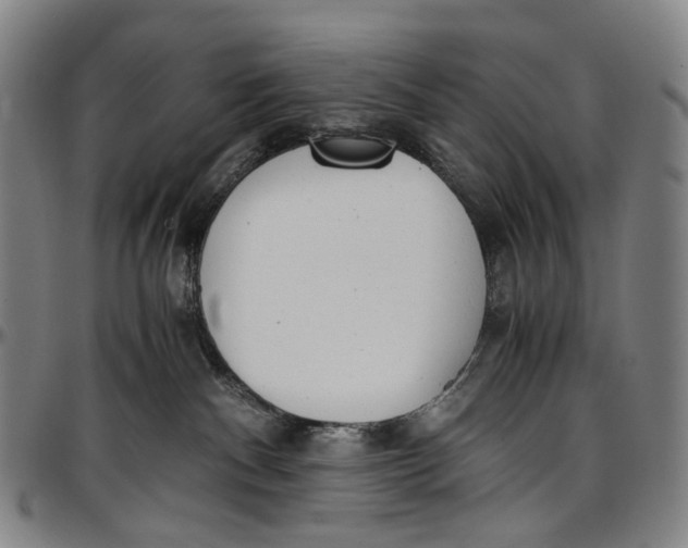 X0000096960140200802291130