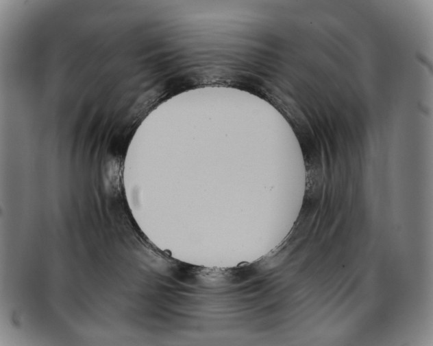 X0000096960142200802291130