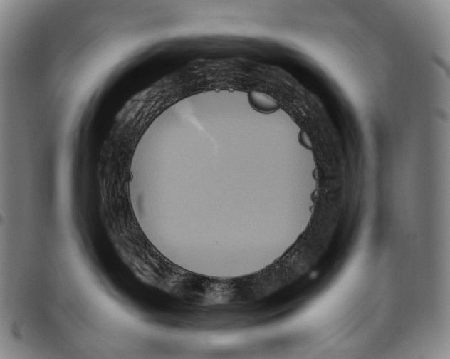 X0000096960143200802291130