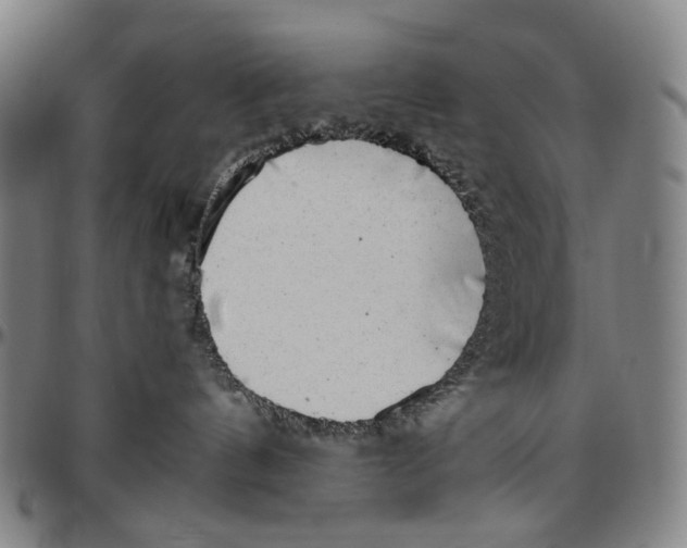 X0000096960144200802291130