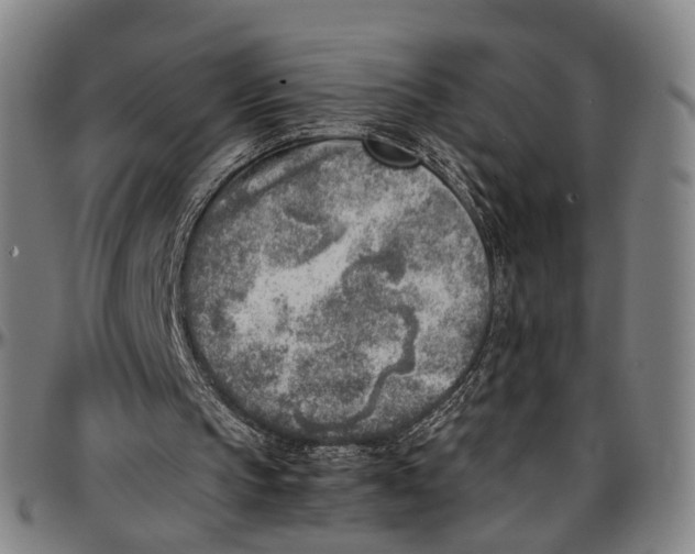 X0000096960145200802291129