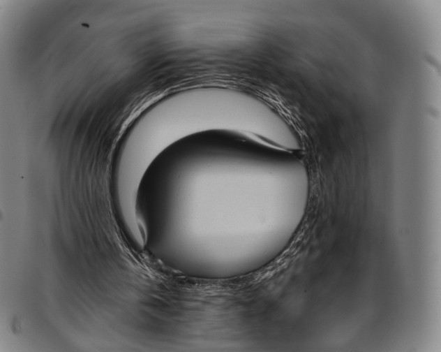 X0000096960146200802291129