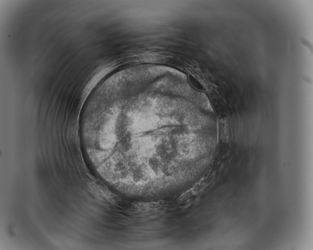 X0000096960147200802291129