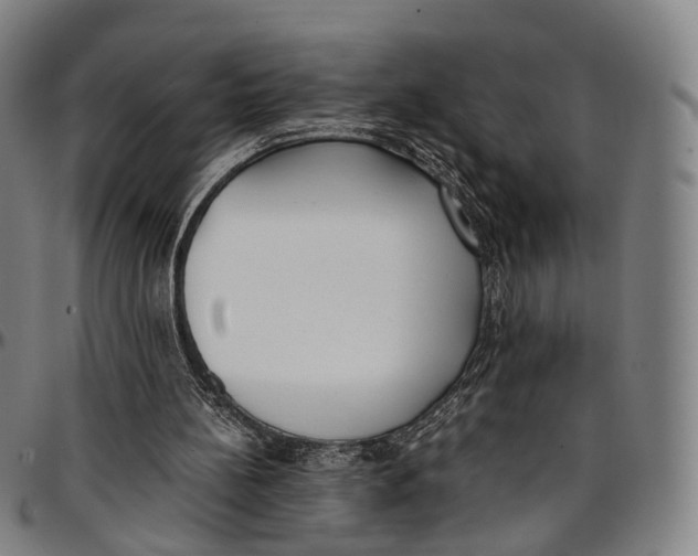 X0000096960148200802291129