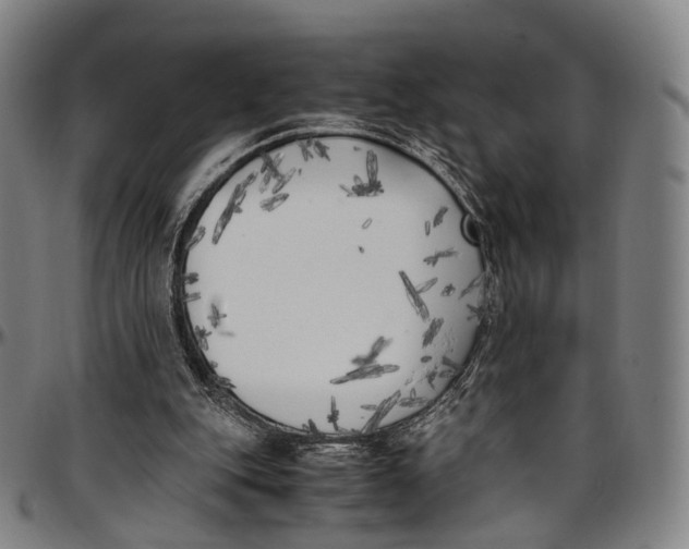 X0000096960151200802291129