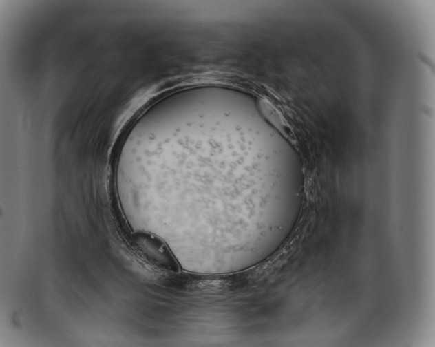 X0000096960152200802291129