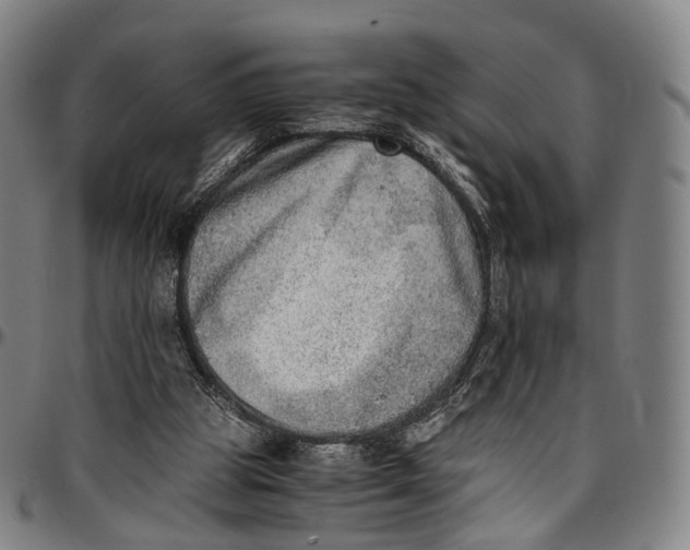 X0000096960153200802291129