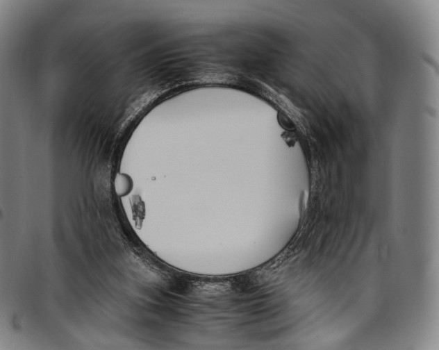 X0000096960155200802291129