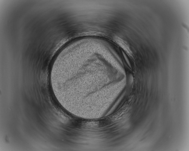 X0000096960156200802291129