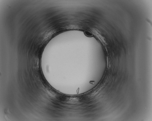 X0000096960157200802291129