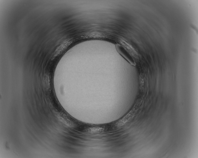 X0000096960158200802291129