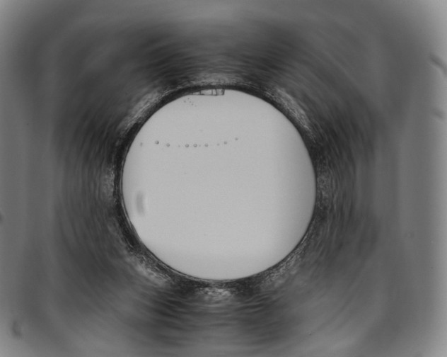 X0000096960159200802291129