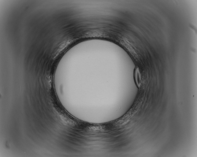 X0000096960160200802291129