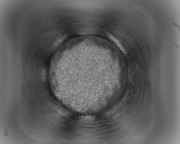 X0000096960161200802291129