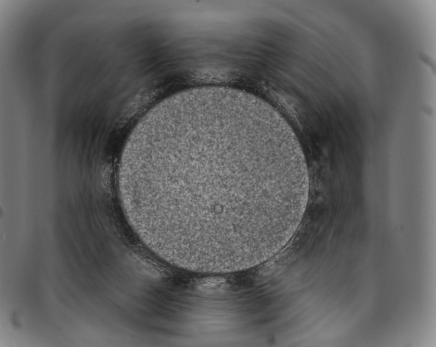 X0000096960162200802291129