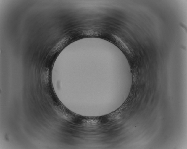 X0000096960163200802291129