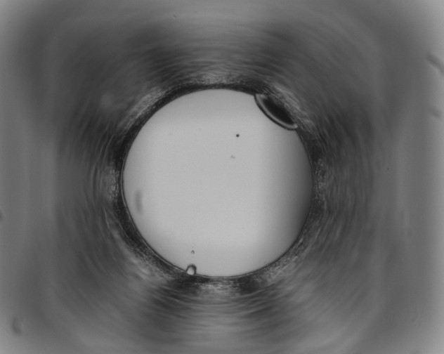 X0000096960164200802291129