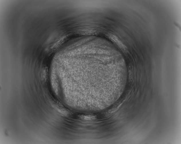 X0000096960165200802291129