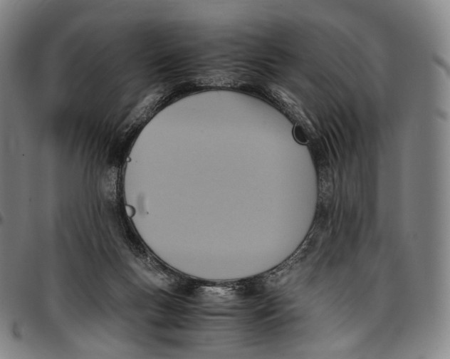 X0000096960167200802291130