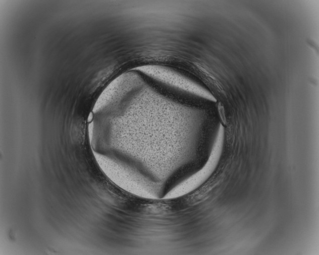 X0000096960168200802291130