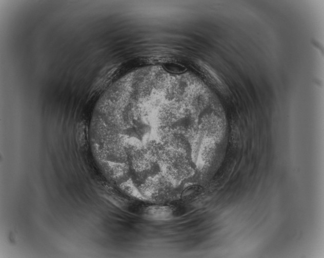 X0000096960169200802291130