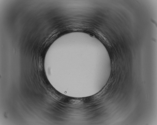 X0000096960170200802291130