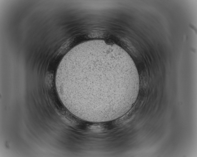 X0000096960171200802291130