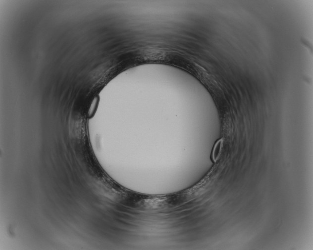 X0000096960172200802291130