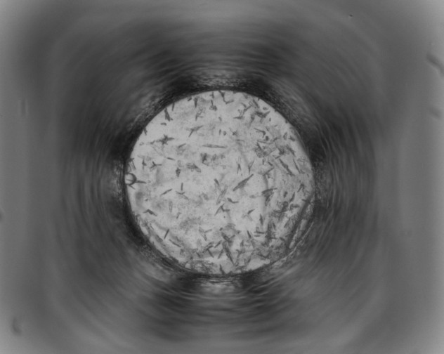 X0000096960175200802291130