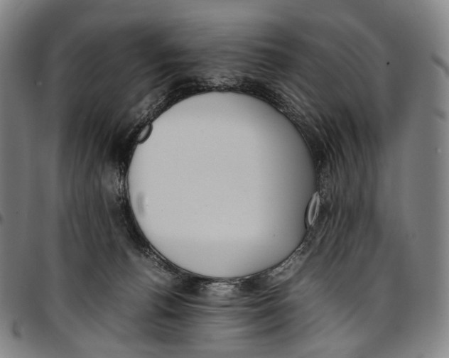 X0000096960176200802291130