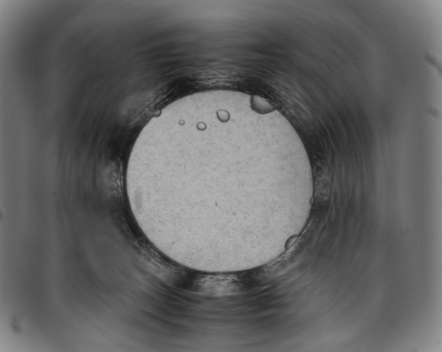 X0000096960179200802291130