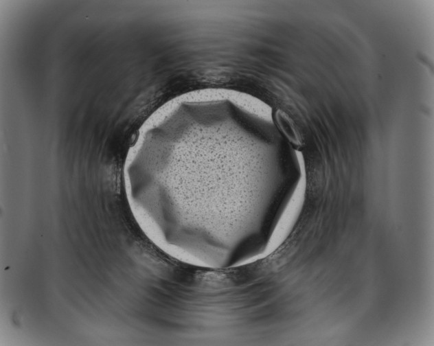 X0000096960180200802291130