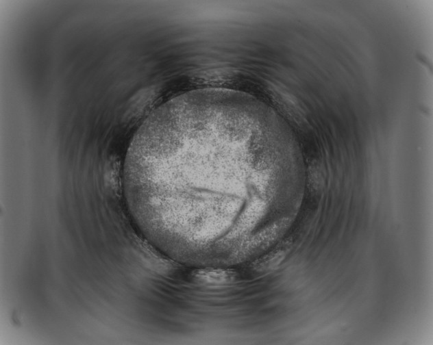 X0000096960181200802291130