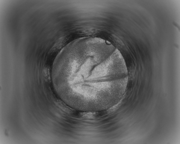 X0000096960182200802291130