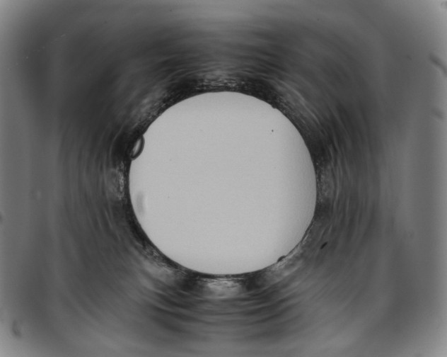 X0000096960183200802291130