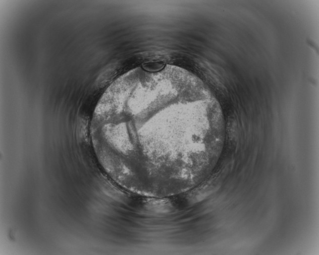 X0000096960185200802291130