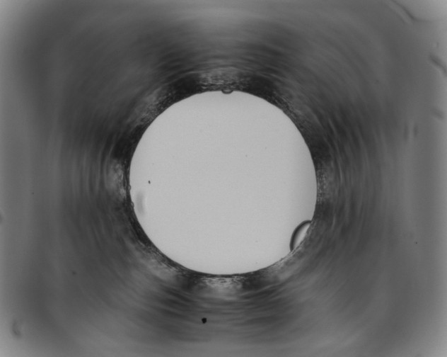 X0000096960187200802291130